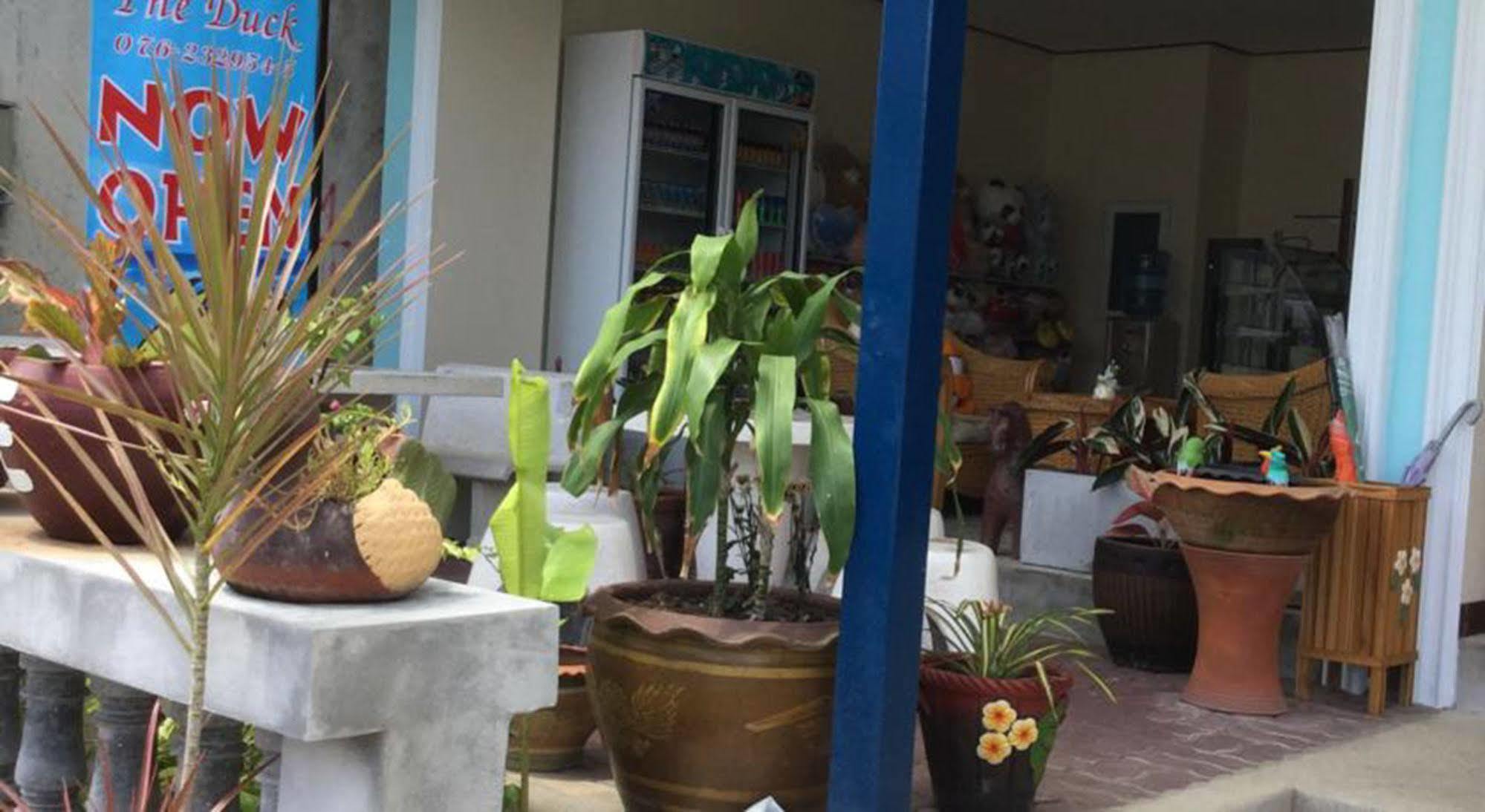 The Duck Phuket Exterior foto